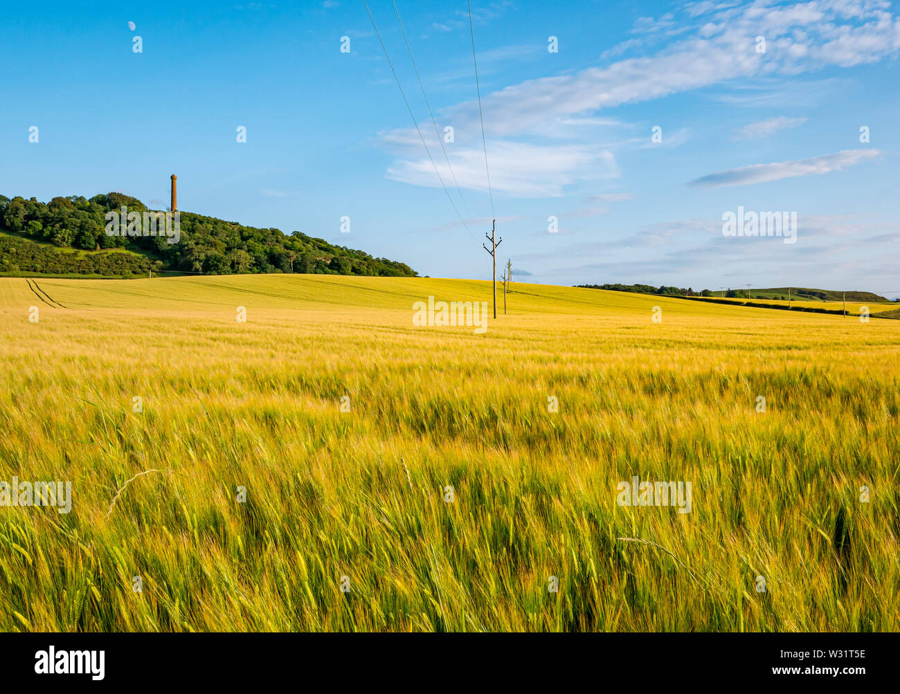 East Lothian, Scozia, Regno Unito, 11 luglio 2019. Regno Unito: Meteo il paesaggio agricolo baciata dal caldo sole serale. Un colorato raccolto di orzo campo con cielo blu e fiera wispy nuvole. Il Victorian Hopetoun monumento su Byres collina con la luna visibili nel cielo Foto Stock