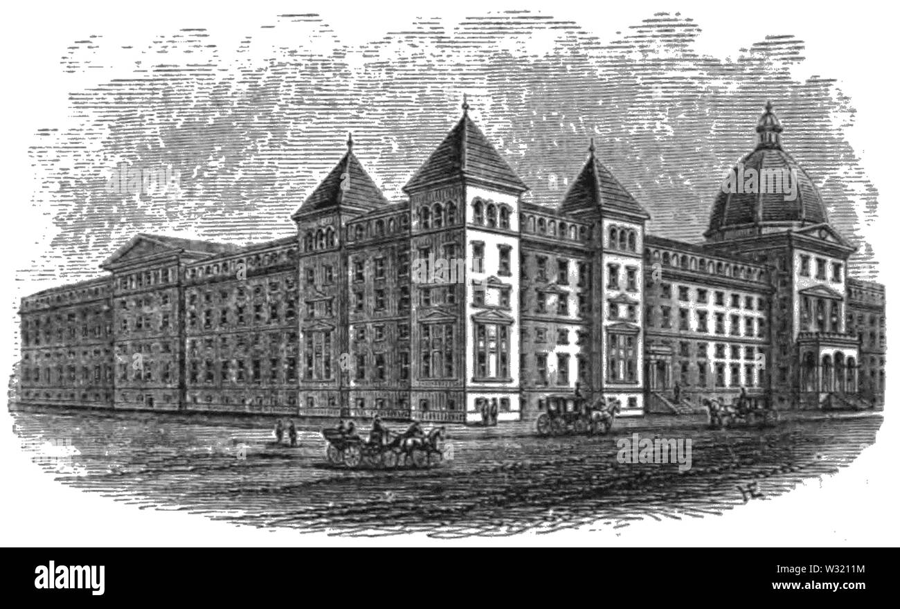 SMO V12 D360 museo di zoologia comparativa Foto Stock