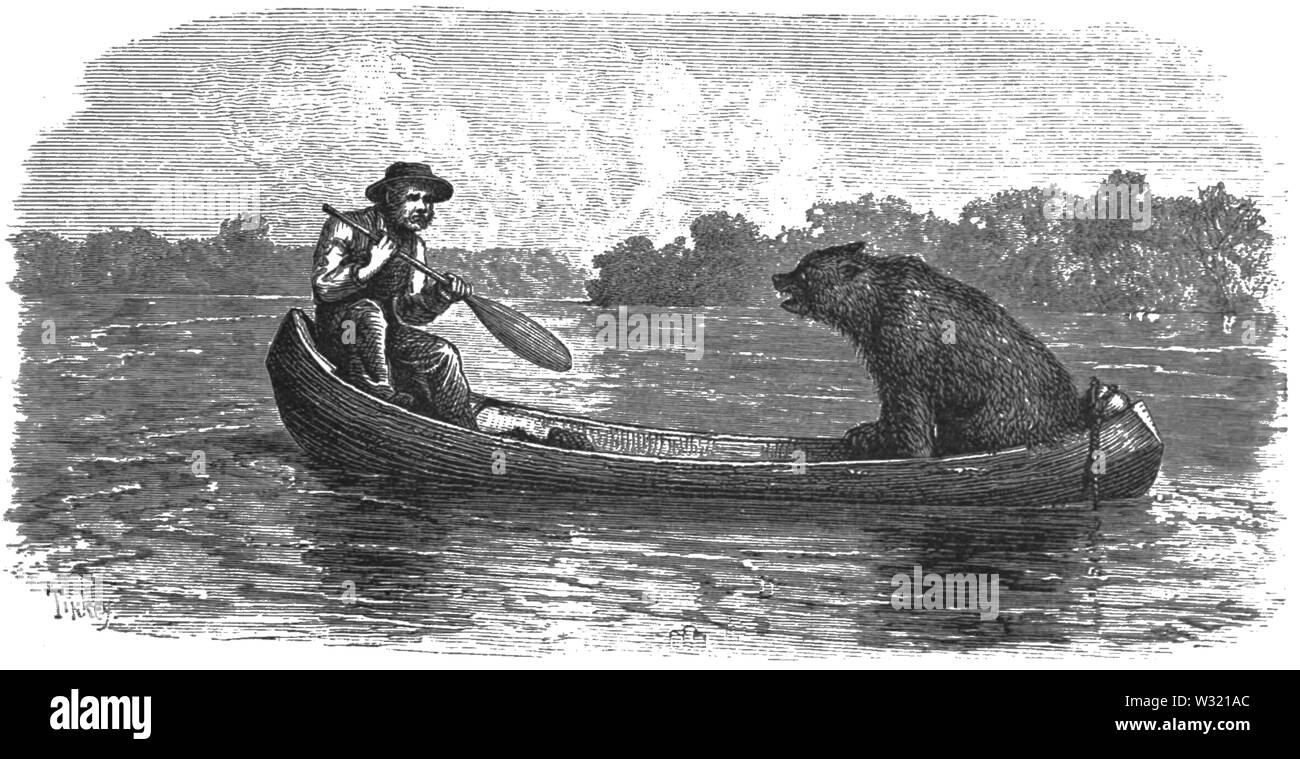 SMO V12 D475 Fisher e l'orso Foto Stock