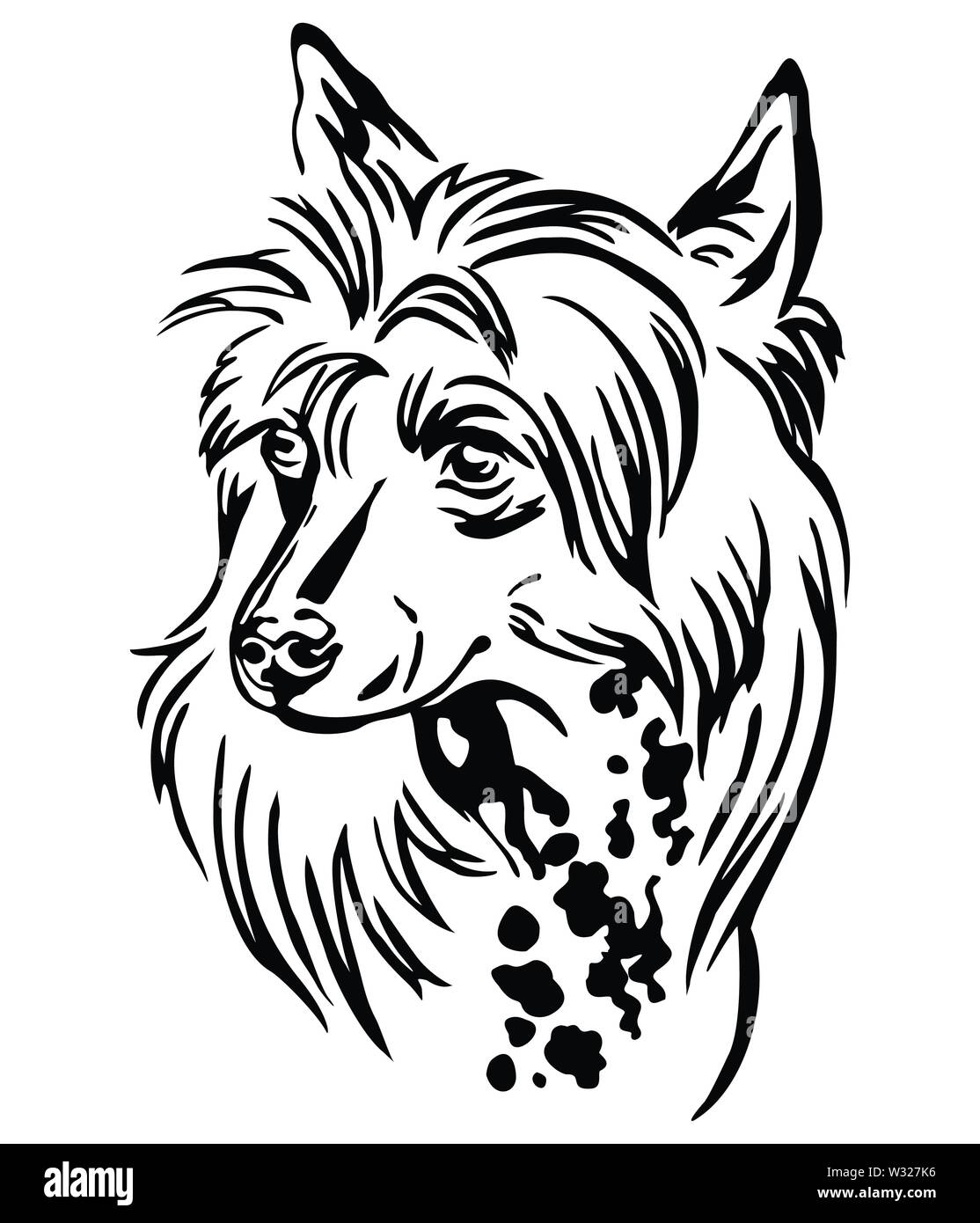 Profilo decorativo ritratto di cinese Crested cane, illustrazione vettoriale in colore nero isolato su sfondo bianco. Immagine per design e tatuaggio. Illustrazione Vettoriale