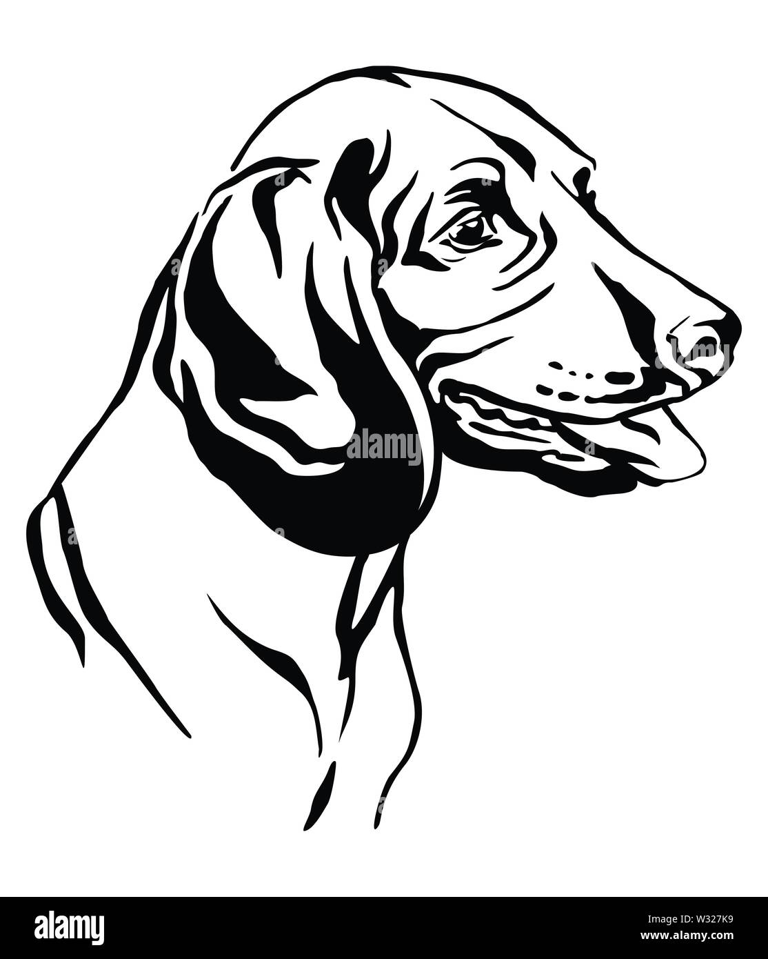 Profilo decorativo ritratto di cane montagna bavarese Hound cercando di profilo, illustrazione vettoriale in colore nero isolato su sfondo bianco. Immagine Illustrazione Vettoriale