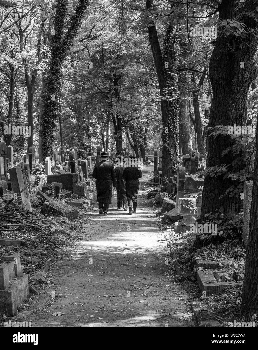 Chasidic ebraica di uomini in tradizionale nero Lunghi cappotti e cappelli a piedi tra le vecchie pietre tombali nel nuovo cimitero ebraico di Kazimierz, Cracovia in Polonia Foto Stock