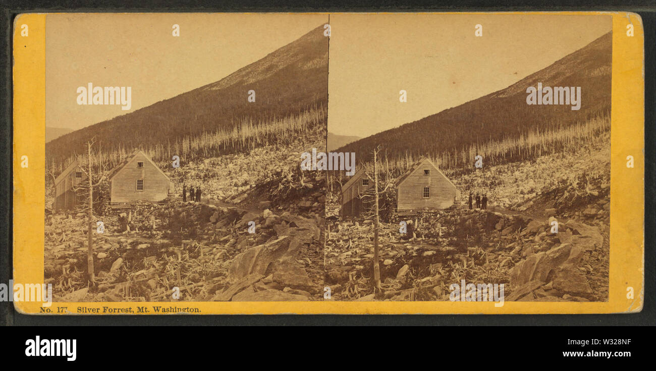 Argento Forrest, Washington Mt, per pease, N W (Nathan W), 1836-1918 Foto Stock