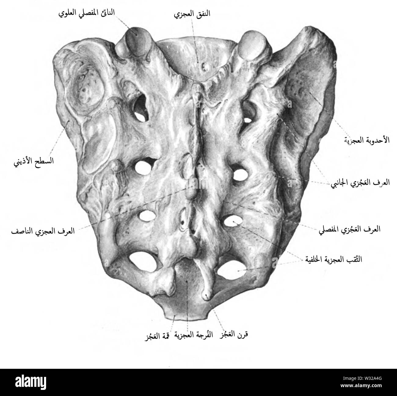 Sobo 1909 13-ar Foto Stock