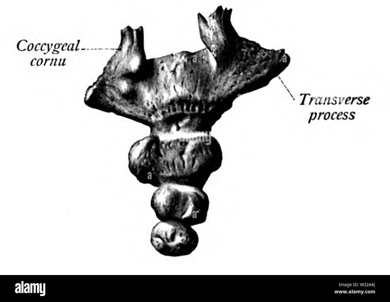 Sobo 1909 20 Foto Stock