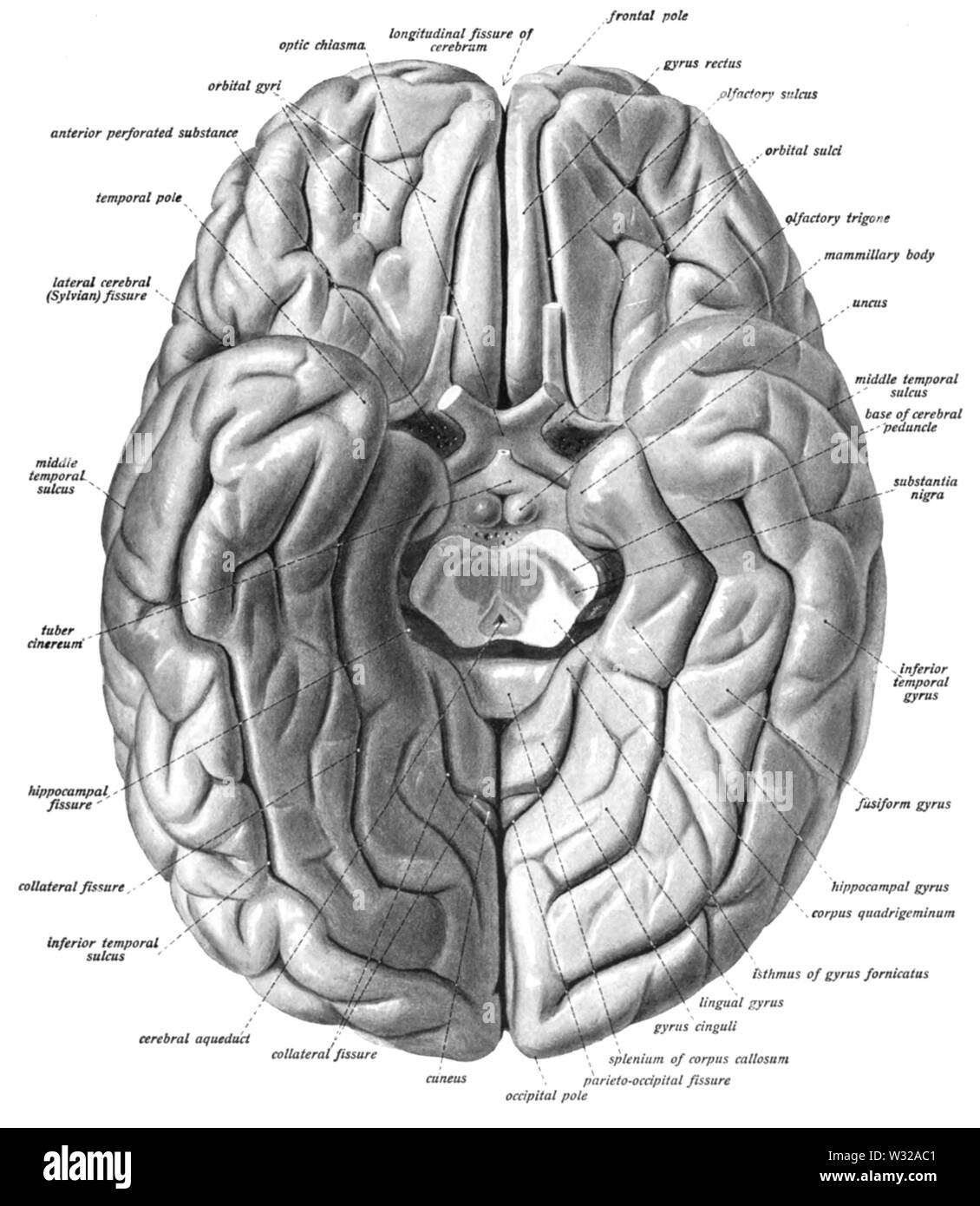 Sobo 1909 630 Foto Stock