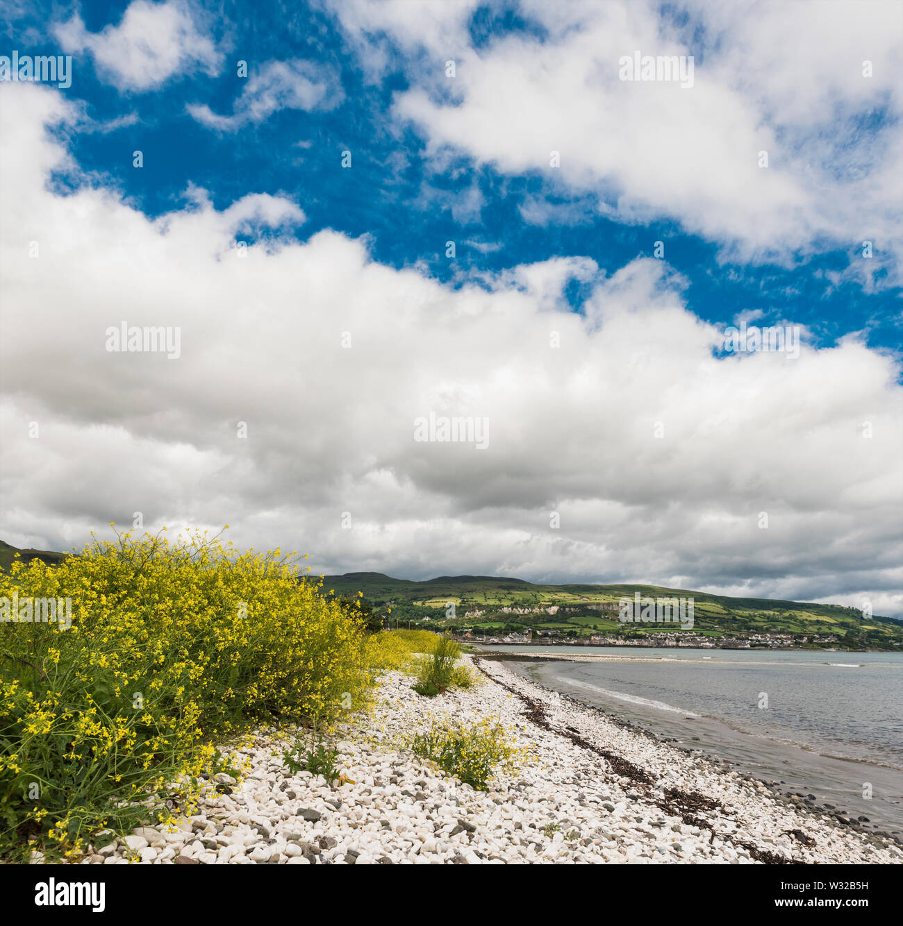Spiaggia di Shingle accanto a Carnlough Bay sulla Coast Road vicino a Carnlough, County Antrim, Irlanda del Nord Foto Stock
