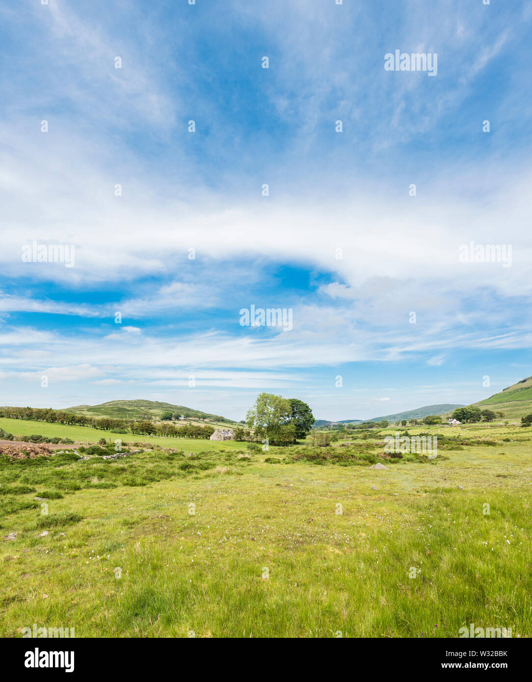 Paesaggio rurale delle montagne di Mourne, vicino a Newcastle, County Down, Irlanda del Nord Foto Stock