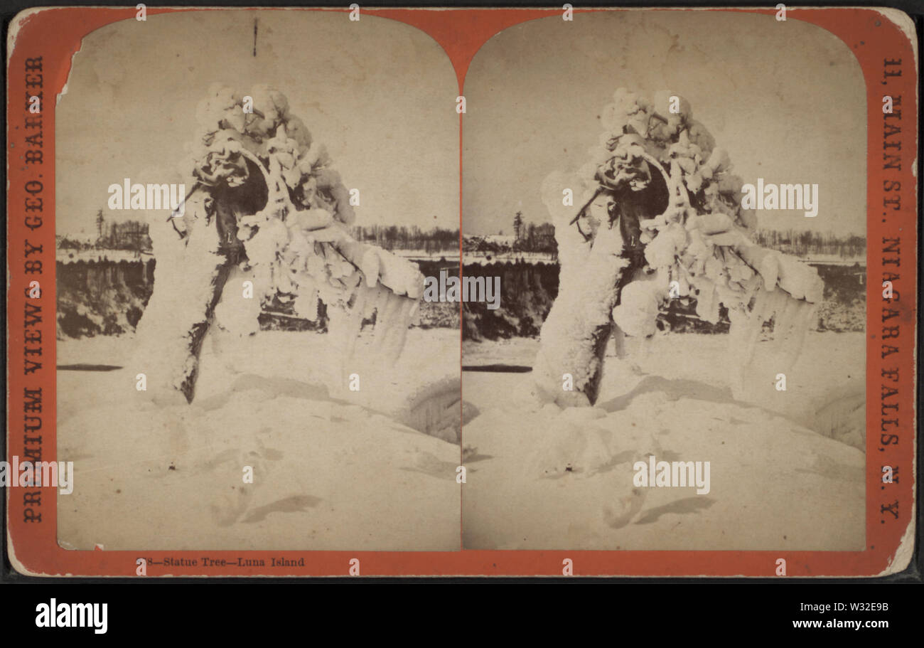 Statua albero, Luna Island, da Barker, George, 1844-1894 Foto Stock