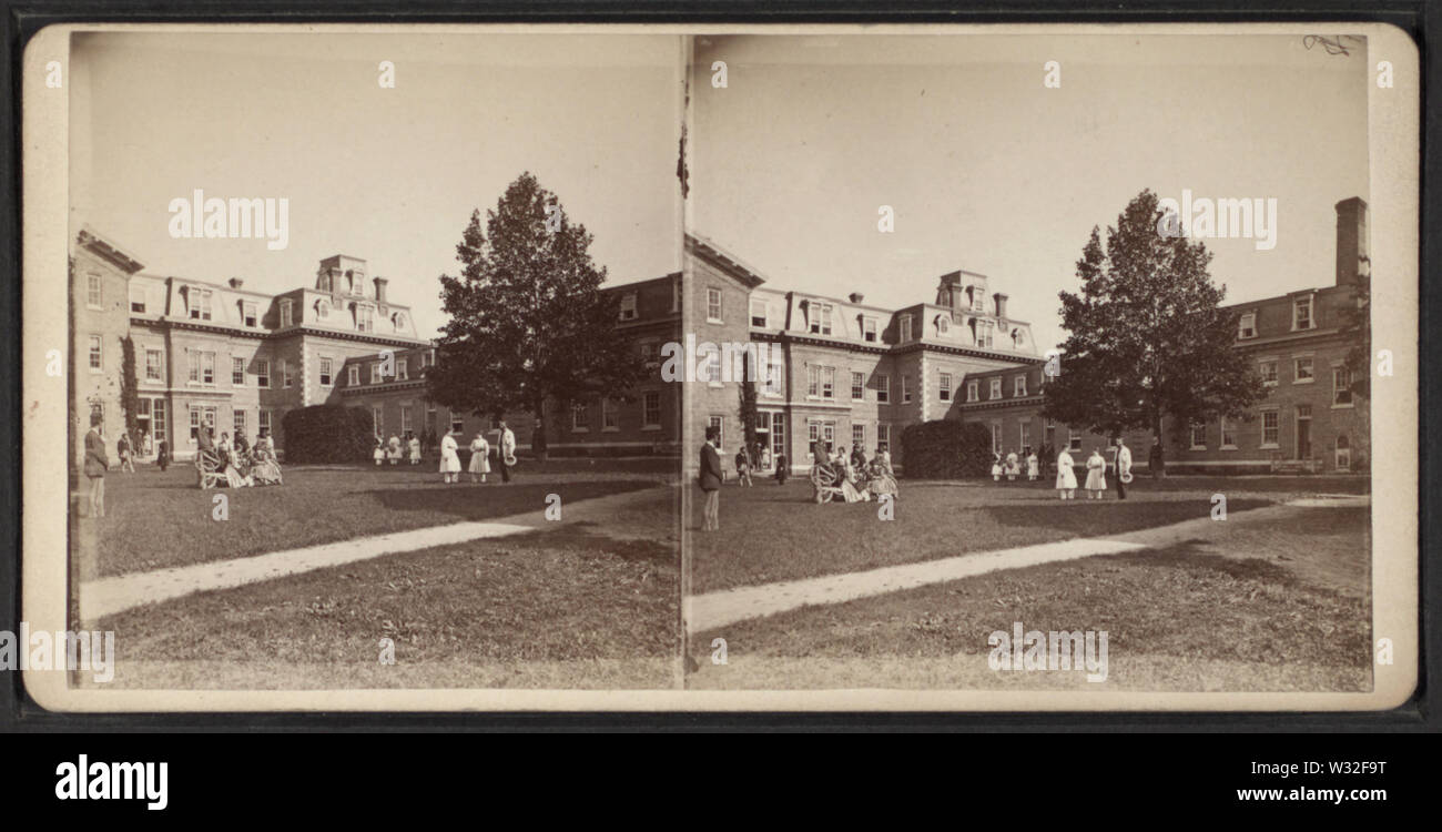 Vista stereoscopica dell'onda gravitazionale, New York, da Smith, D E, FL 1860-1890 Foto Stock