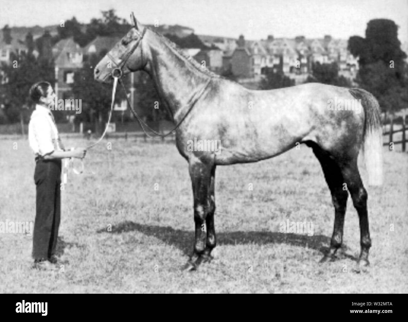 Tetratema1921 Foto Stock