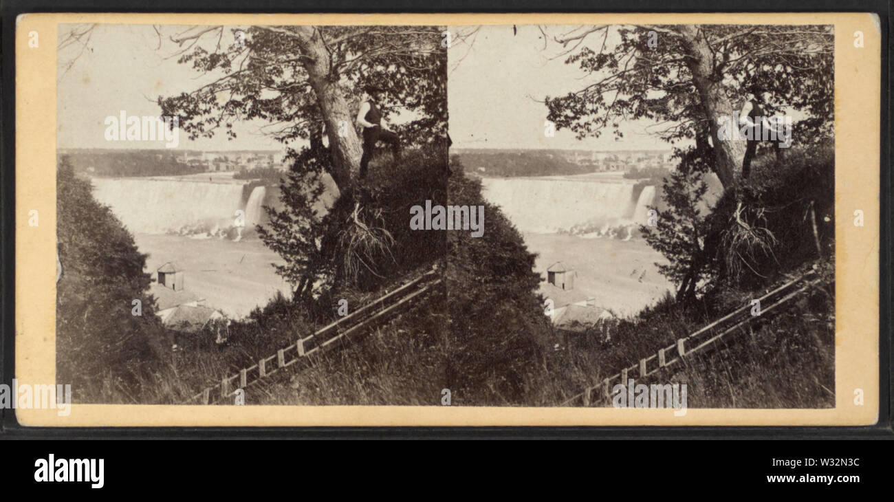 La American caduta da dietro la Pagoda, Canada lato E & HT Anthony (Azienda) Foto Stock