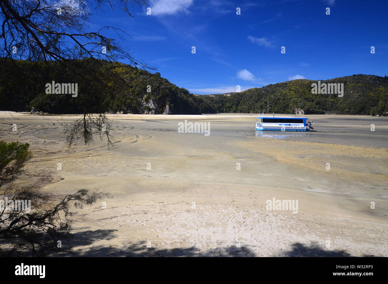 Torrent Bay estuario a bassa marea, Nuova Zelanda Foto Stock