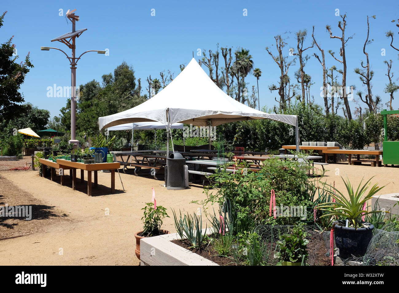 IRIVNE, CALIFORNIA - 11 LUGLIO 2019: Great Park Farm and Food Lab. Un terreno di un ettaro nel Great Park di Irvine, fondato come dimostrazione di sostenibilità Foto Stock