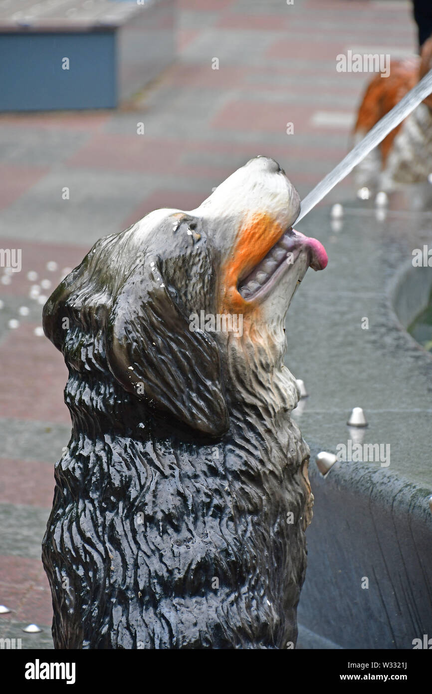 La mitica Fontana del cane a Berzcy Park nel centro cittadino di Toronto Foto Stock