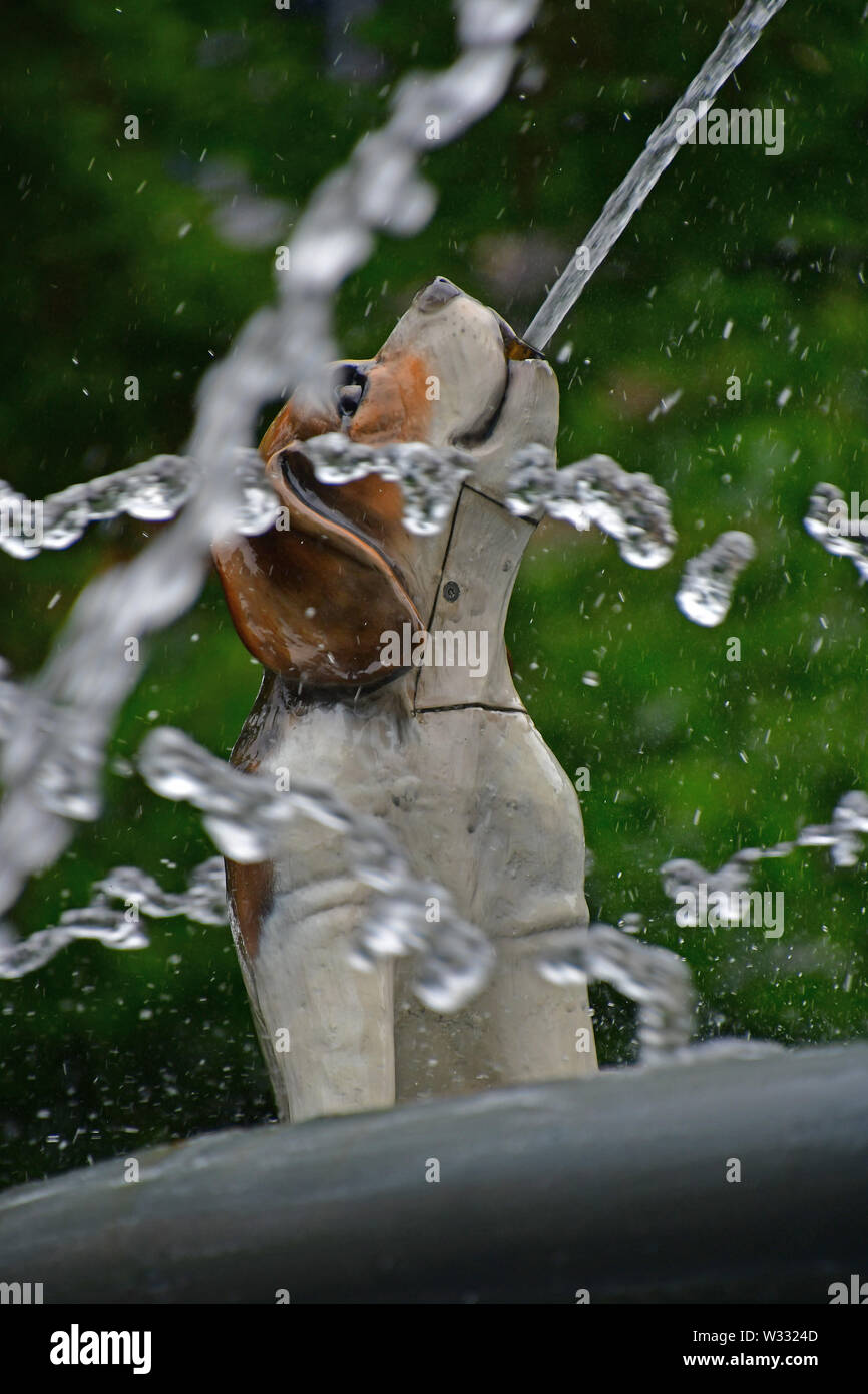 La mitica Fontana del cane a Berzcy Park nel centro cittadino di Toronto Foto Stock