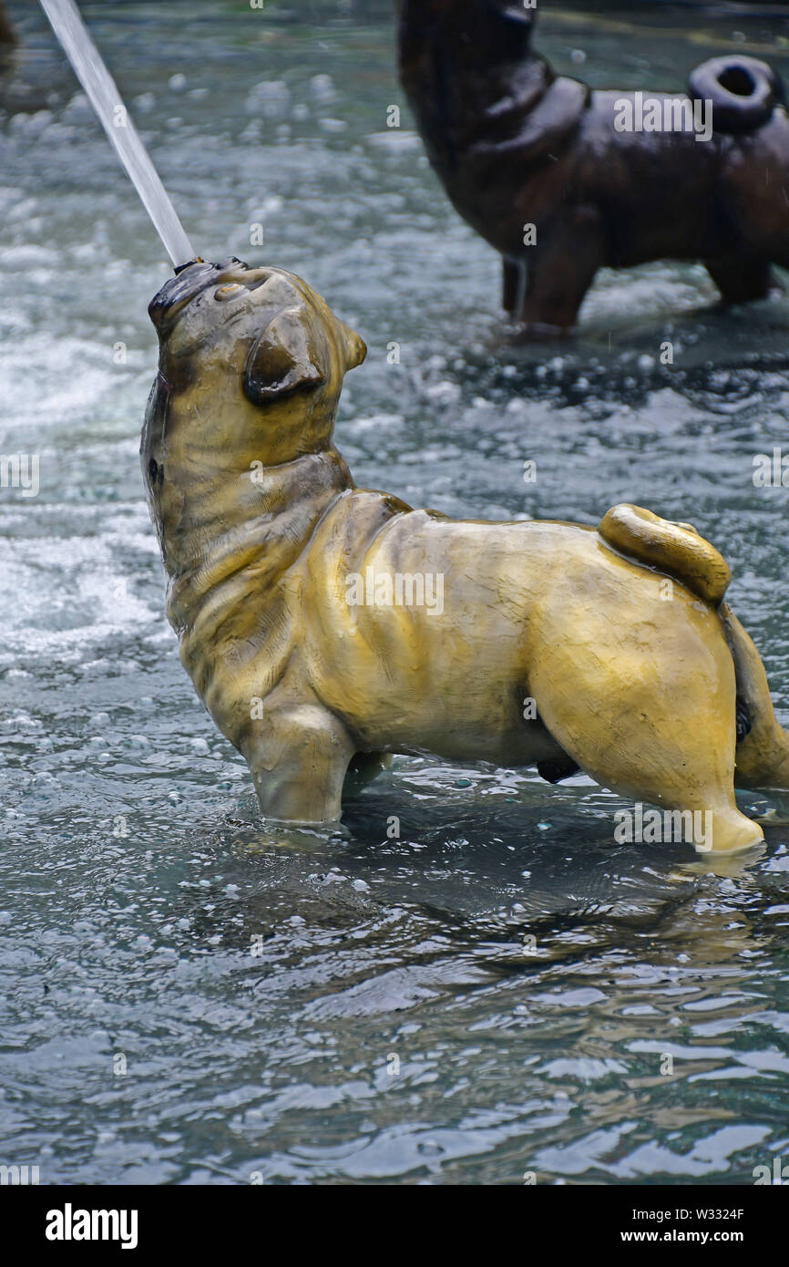 La mitica Fontana del cane a Berzcy Park nel centro cittadino di Toronto Foto Stock