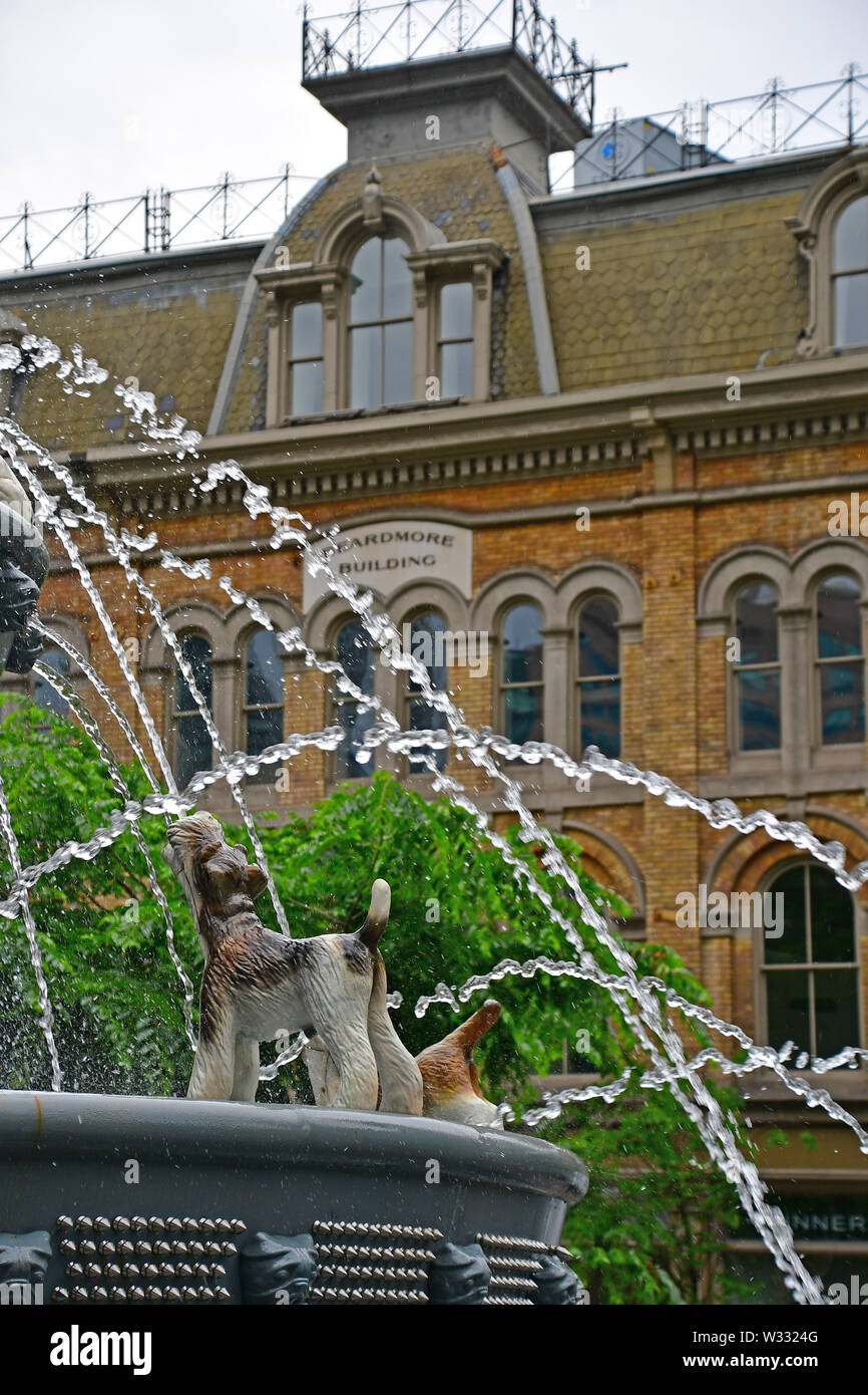 La mitica Fontana del cane a Berzcy Park nel centro cittadino di Toronto Foto Stock