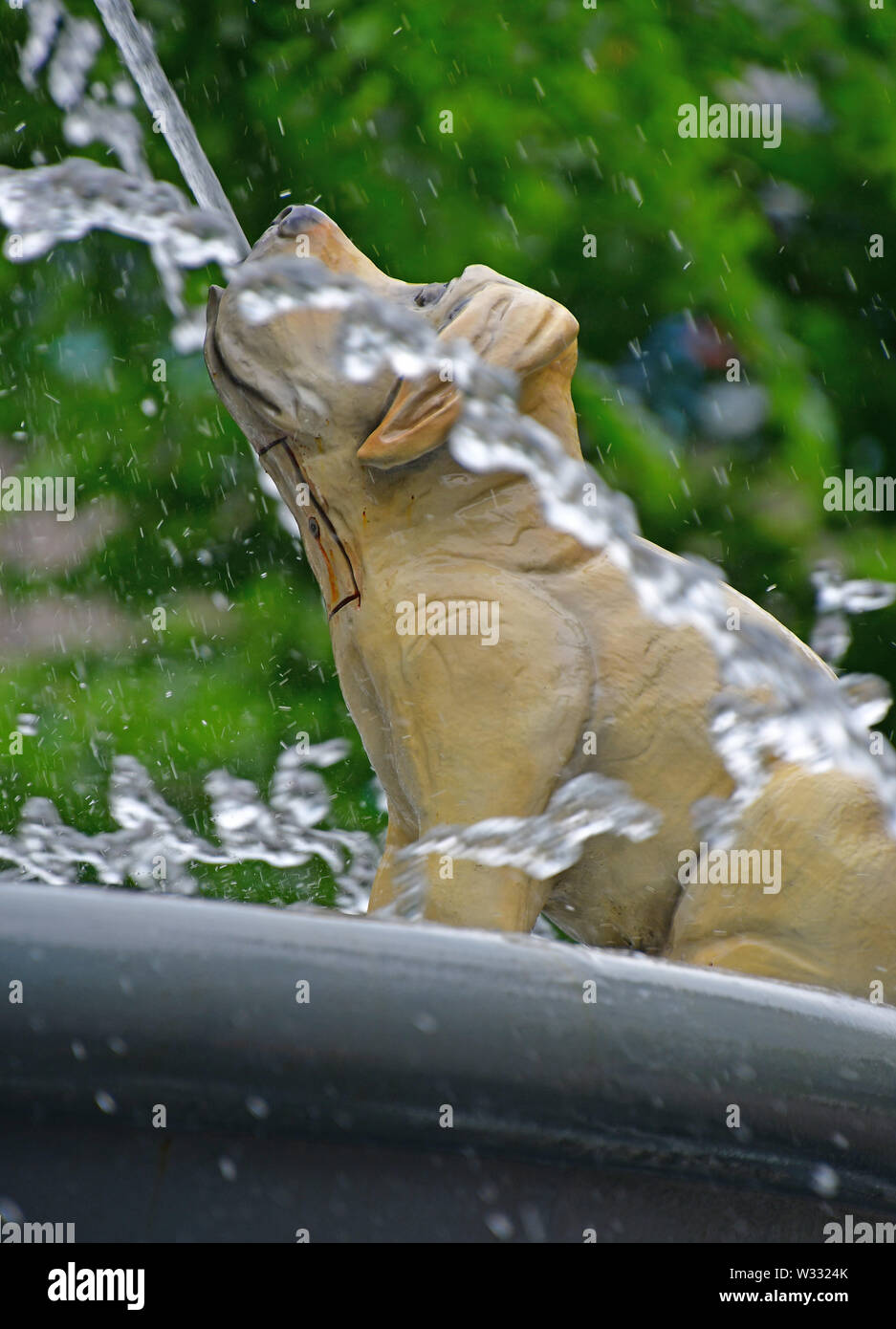 La mitica Fontana del cane a Berzcy Park nel centro cittadino di Toronto Foto Stock