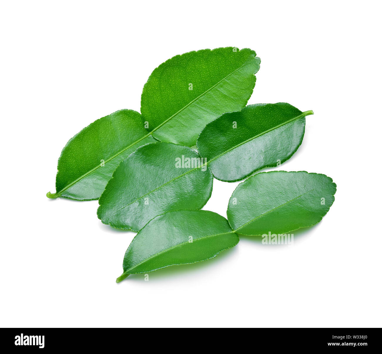 Di combava leaf isolati su sfondo bianco Foto Stock