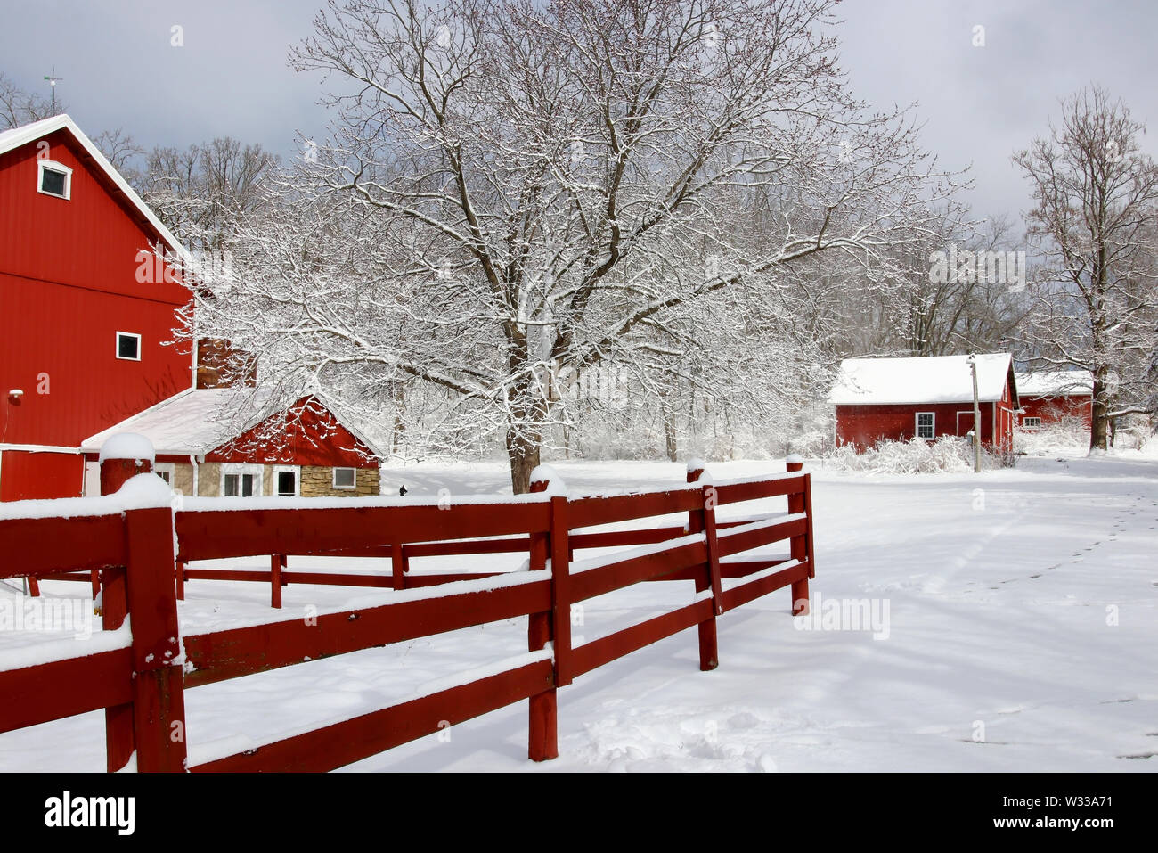 Paesaggio rurale con red fienili in legno recinto rosso, alberi e strade coperte da neve fresca. Scenic inverno vista in Wisconsin, Midwest USA, zona di Madison. Foto Stock