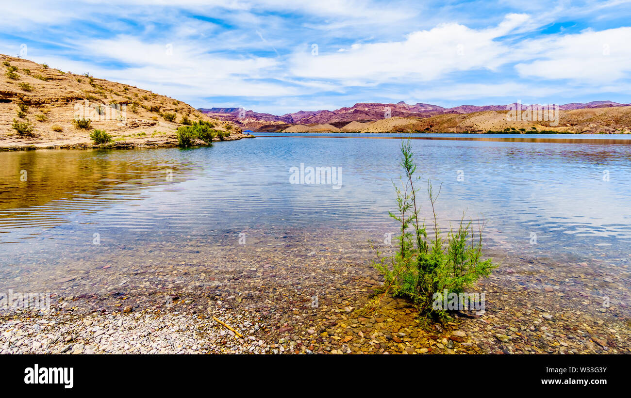 Montagne a pioppi neri americani il bacino del fiume Colorado in El Dorado Canyon, il confine del Nevada e Arizona e il Lago Mead nazionali sono ricreative Foto Stock