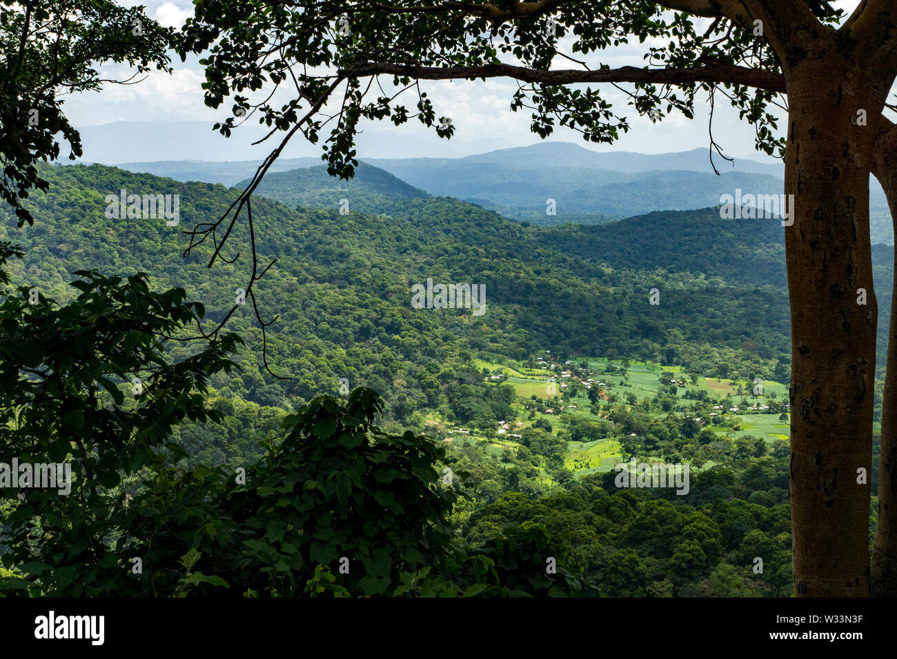 Paesaggio della foresta pluviale in zona Kefa, sud della nazionalità delle nazioni e dei popoli (Regione SNNPR), Etiopia. Foto Stock