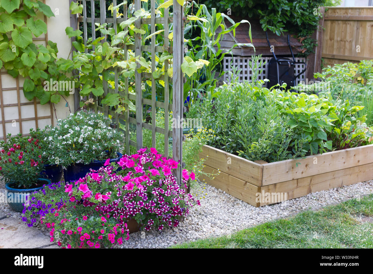 Ortaggi e fiori che crescono in un piccolo giardino Foto Stock