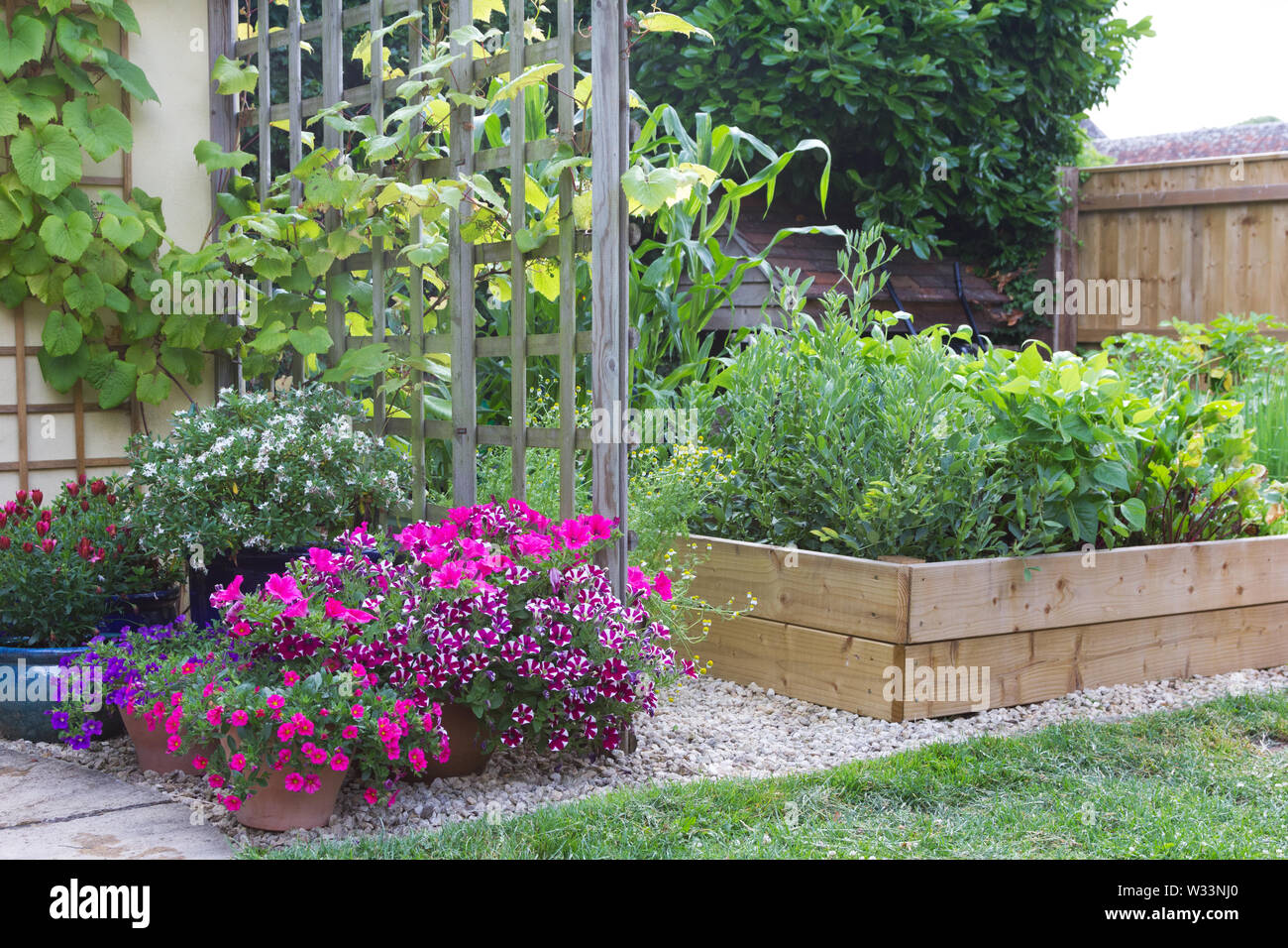 Ortaggi e fiori che crescono in un piccolo giardino Foto Stock