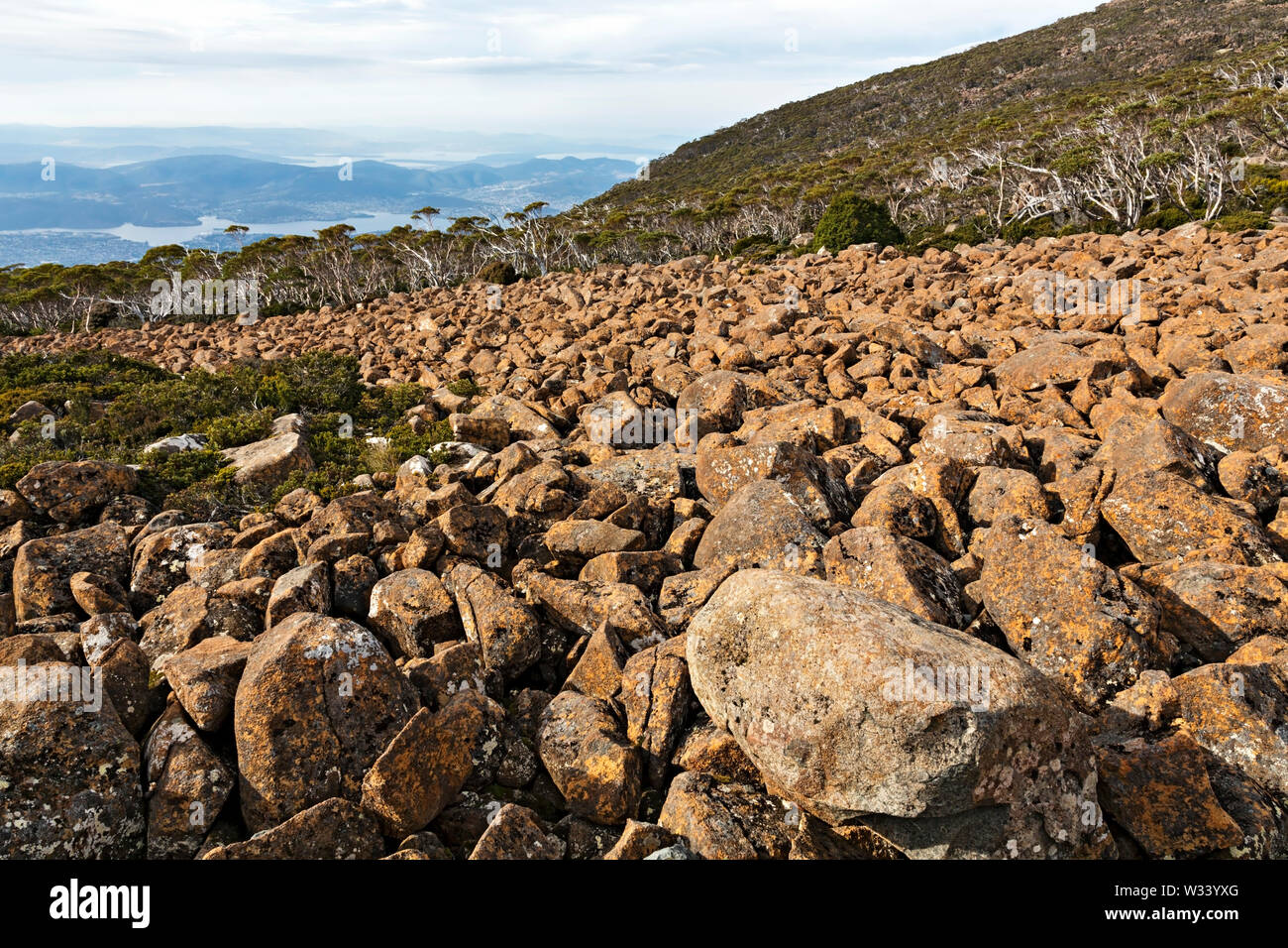 Hobart Australia / Dolerite ruggine color rocce vicino alla cima del Monte Wellington. Foto Stock