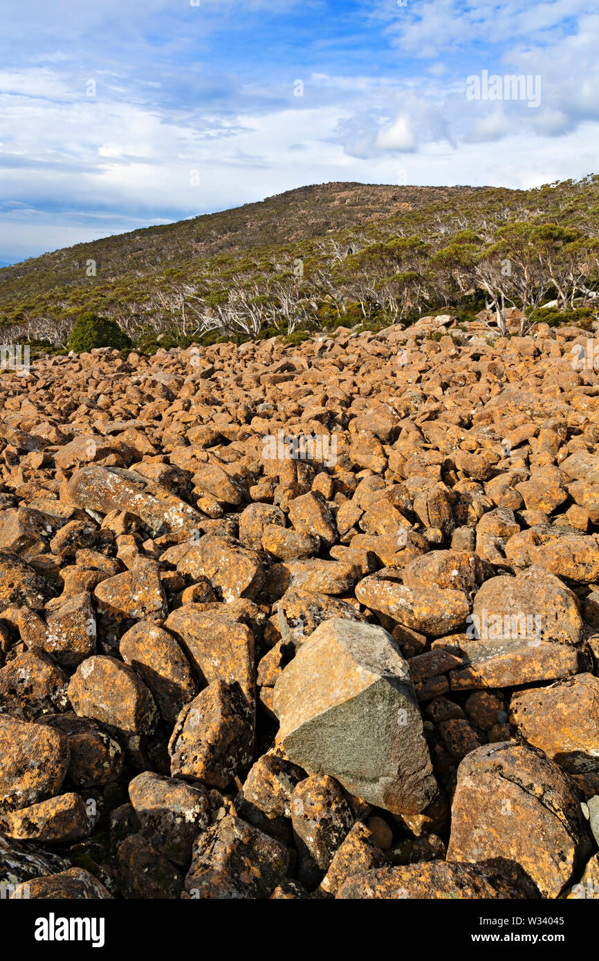 Hobart Australia / Dolerite ruggine color rocce vicino alla cima del Monte Wellington. Foto Stock