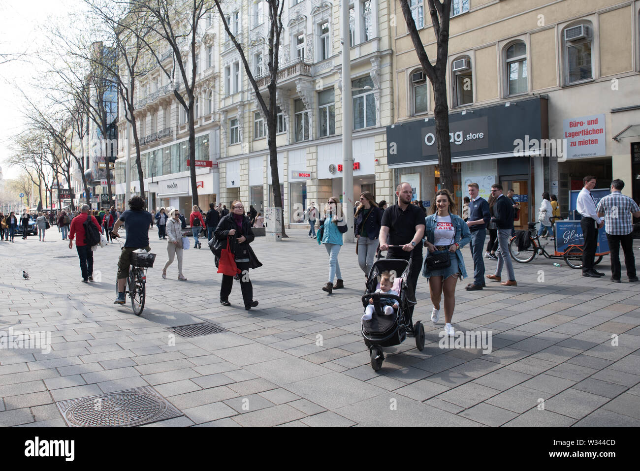 Le persone che attraversano la strada, tenendo il trasporto pubblico, a piedi i loro cani e equitazione biciclette, traffico, zebra crossing in Vienna, Europa Austria Foto Stock