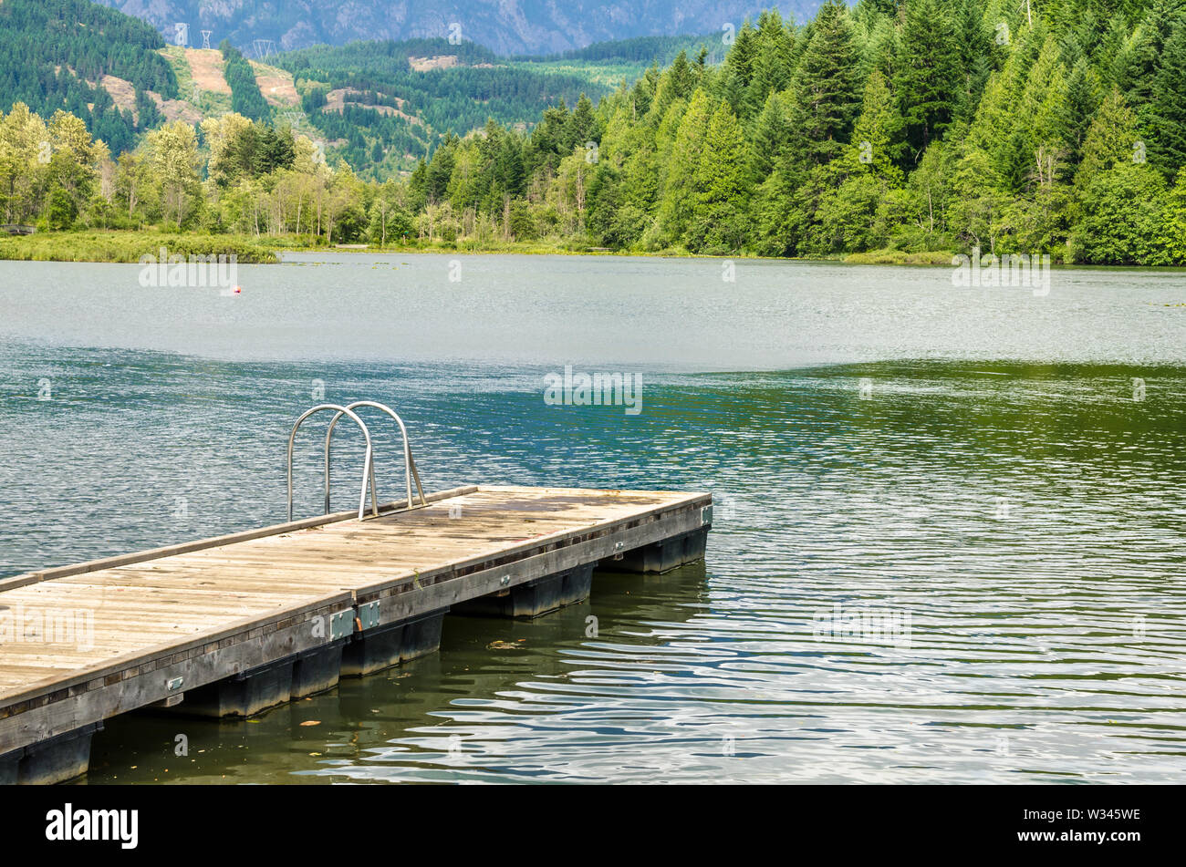 Pontile in legno con una scala su un lago di montagna in estate Foto Stock