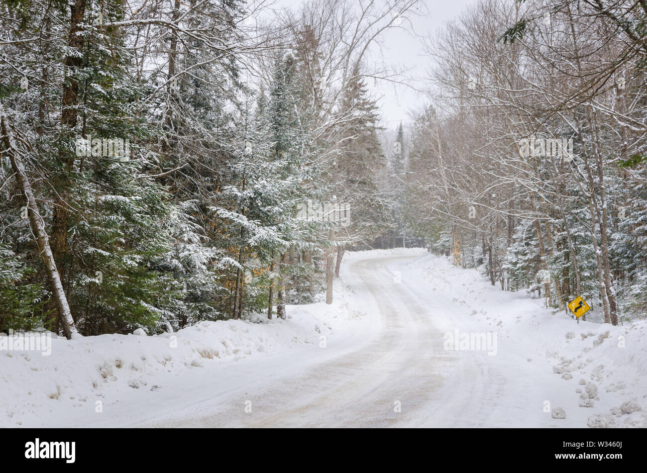 Avvolgimento di vuoto foresta strada coperta di neve durante una nevicata Foto Stock