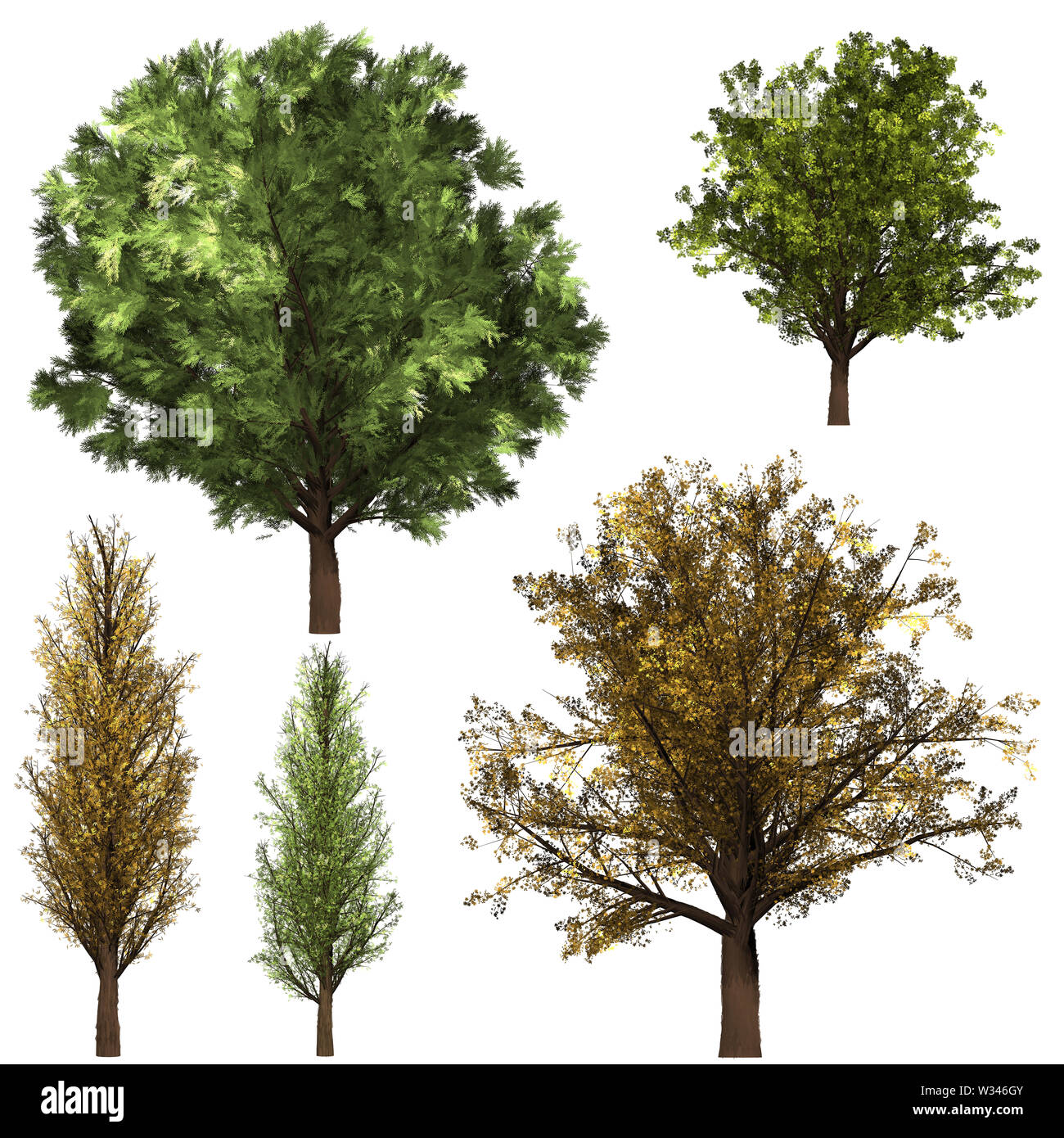 Forrest Green Tree background. 2 Impostare l'illustrazione albero. Foto Stock