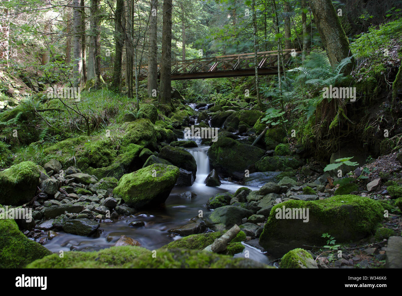 Ponte di legno sopra il fiume selvaggio nel Ravennaschlucht Foto Stock