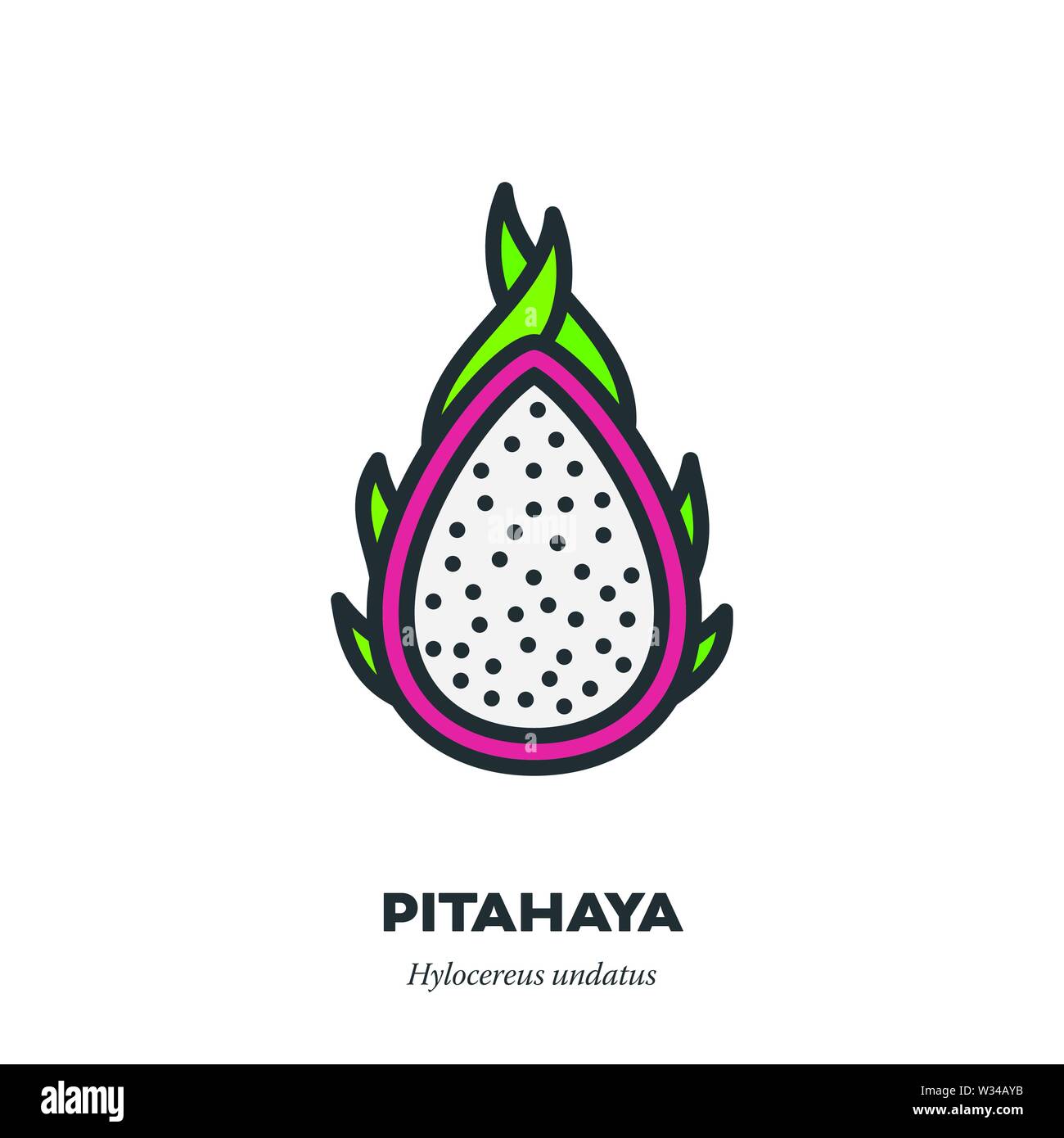 Pitahaya o dragon icona di frutta, contorno a colori stile di riempimento illustrazione vettoriale, sezione trasversale Illustrazione Vettoriale