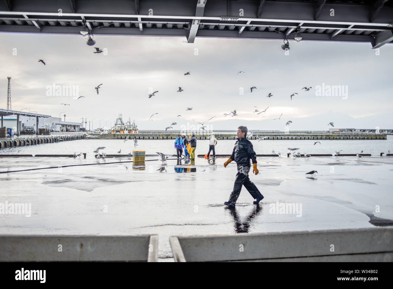 La mattina di sbarco del pesce e asta al Giappone cooperativa di pesca nel porto di Abashiri, Isola Hokkaido, Giappone Foto Stock