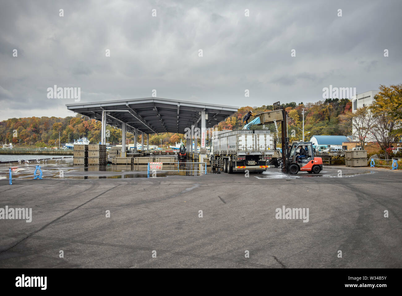 La mattina di sbarco del pesce e asta al Giappone cooperativa di pesca nel porto di Abashiri, Isola Hokkaido, Giappone Foto Stock