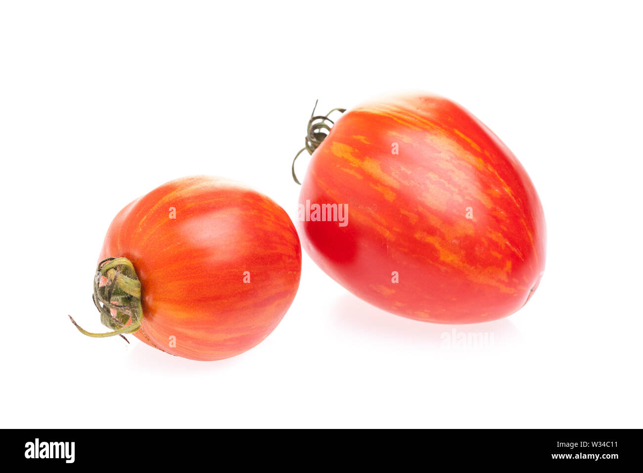 2 pomodori 'Shimmeig Creg' davanti a uno sfondo bianco Foto Stock
