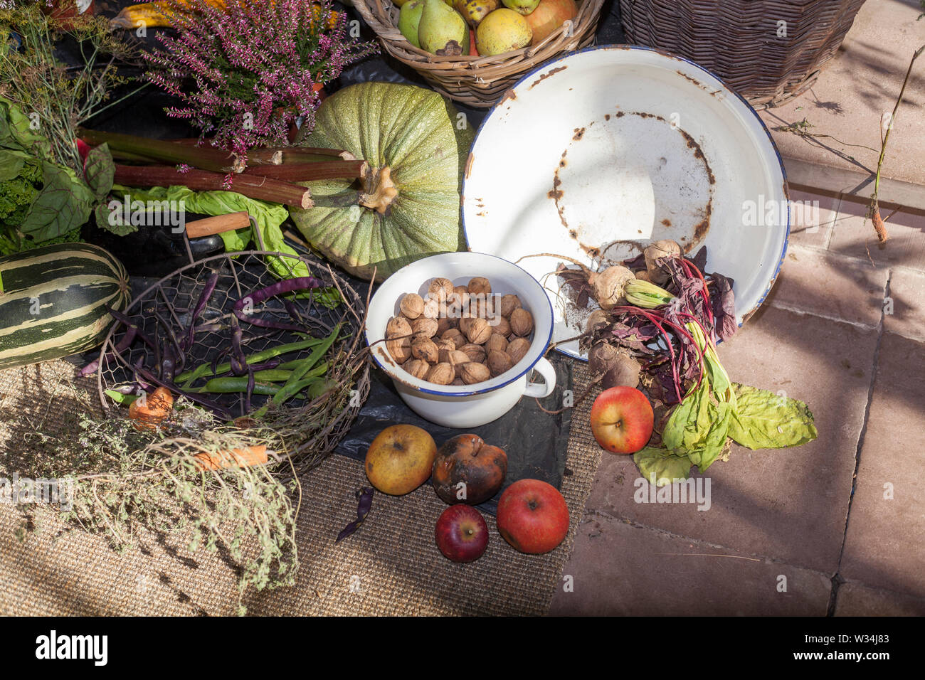 Frutta e verdura al giorno del Ringraziamento altare, ringraziamento, Liebfrauenkirche in autunno, Fischerhude, Bassa Sassonia, Germania, Europa Foto Stock