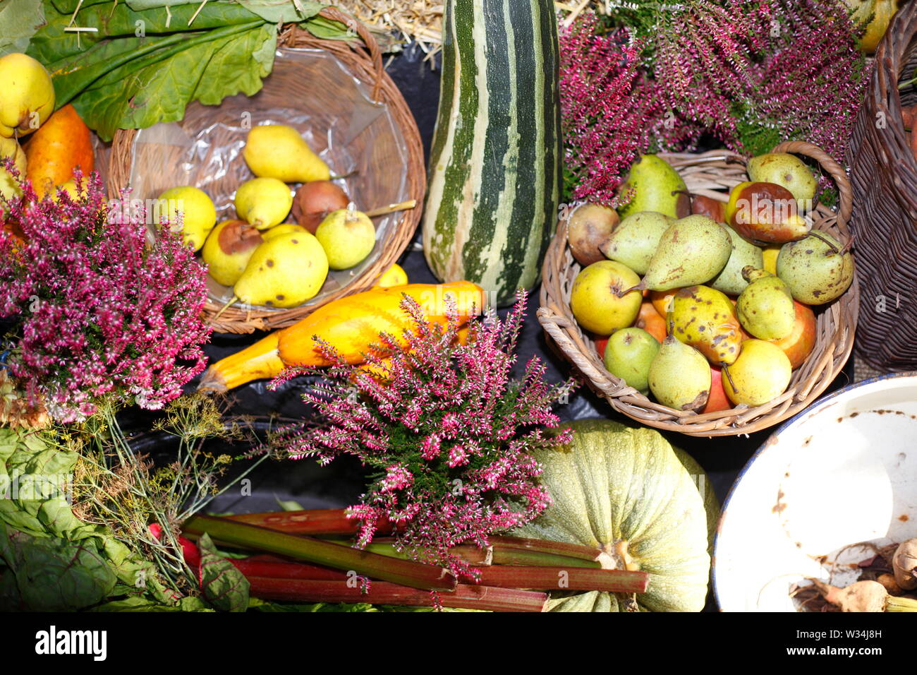 Frutta e verdura al giorno del Ringraziamento altare, ringraziamento, Liebfrauenkirche in autunno, Fischerhude, Bassa Sassonia, Germania, Europa Foto Stock