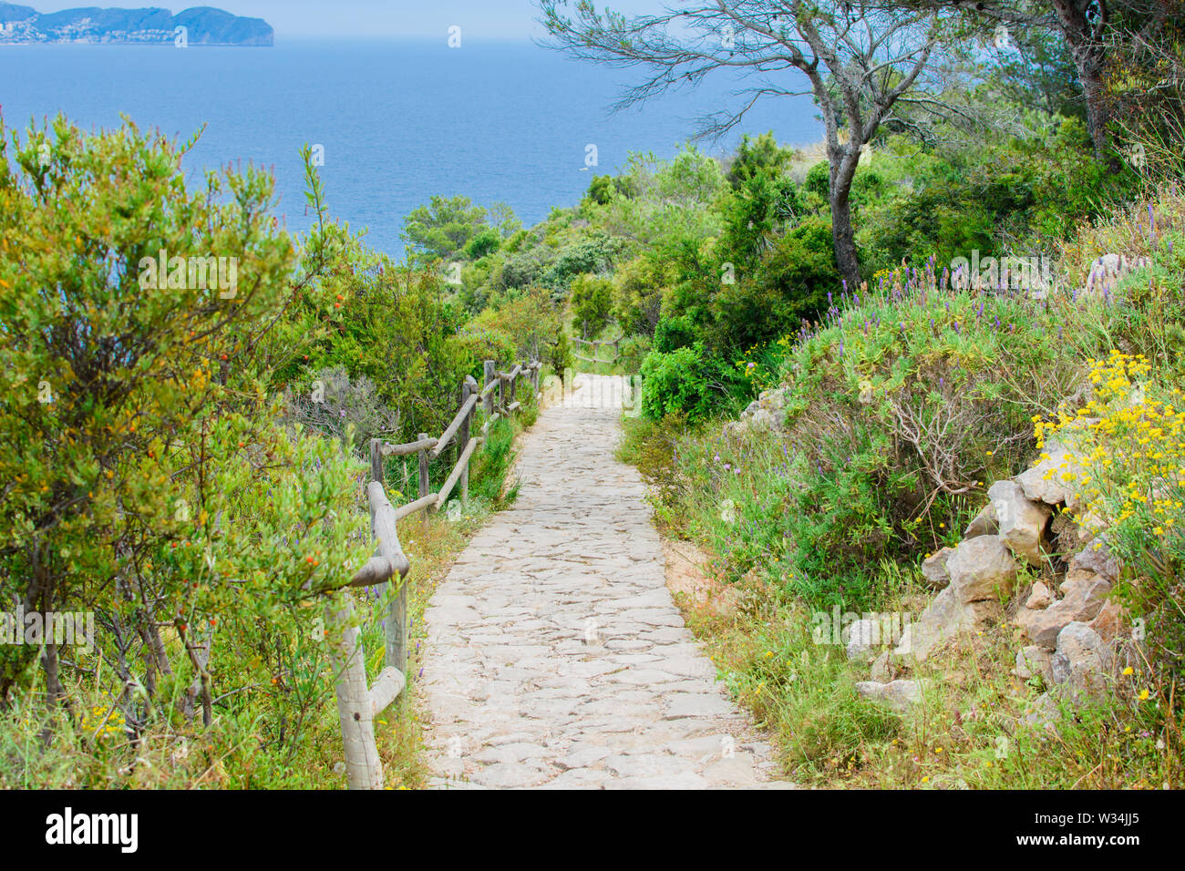 Lunga strada di pietra fino alla montagna tra splendidi e verdi alberi e cespugli. Foto Stock