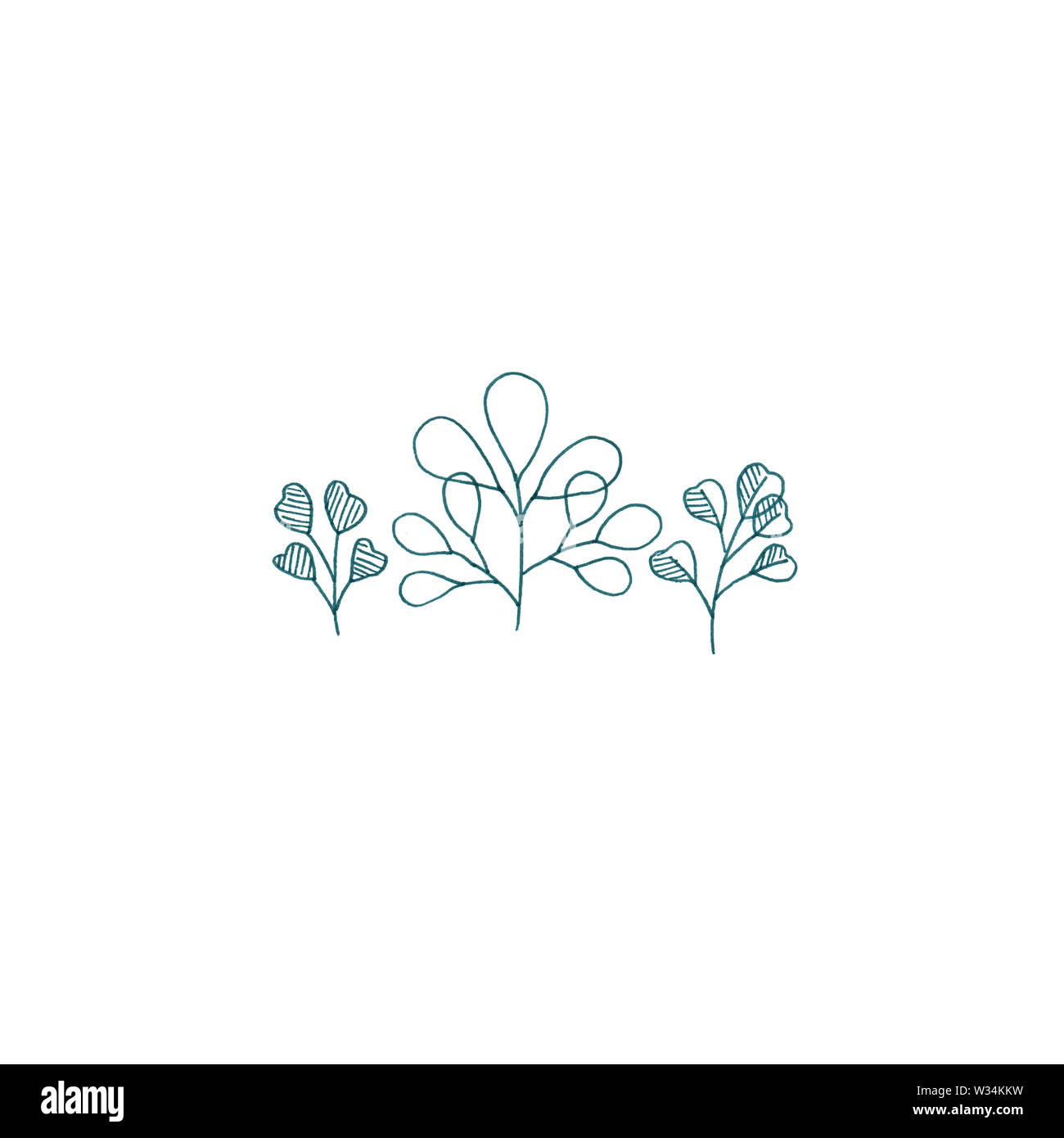 Eucalipto Silverdollar carino illustrazione botanica, floreale illustrazione minimale del bouquet di tre eucalypti in stile rustico. Foto Stock