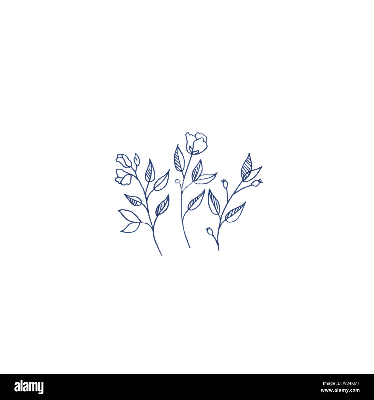 Blu rose carino illustrazione botanica, floreale illustrazione minimale del bouquet di tre rose in fiore in stile rustico. Foto Stock