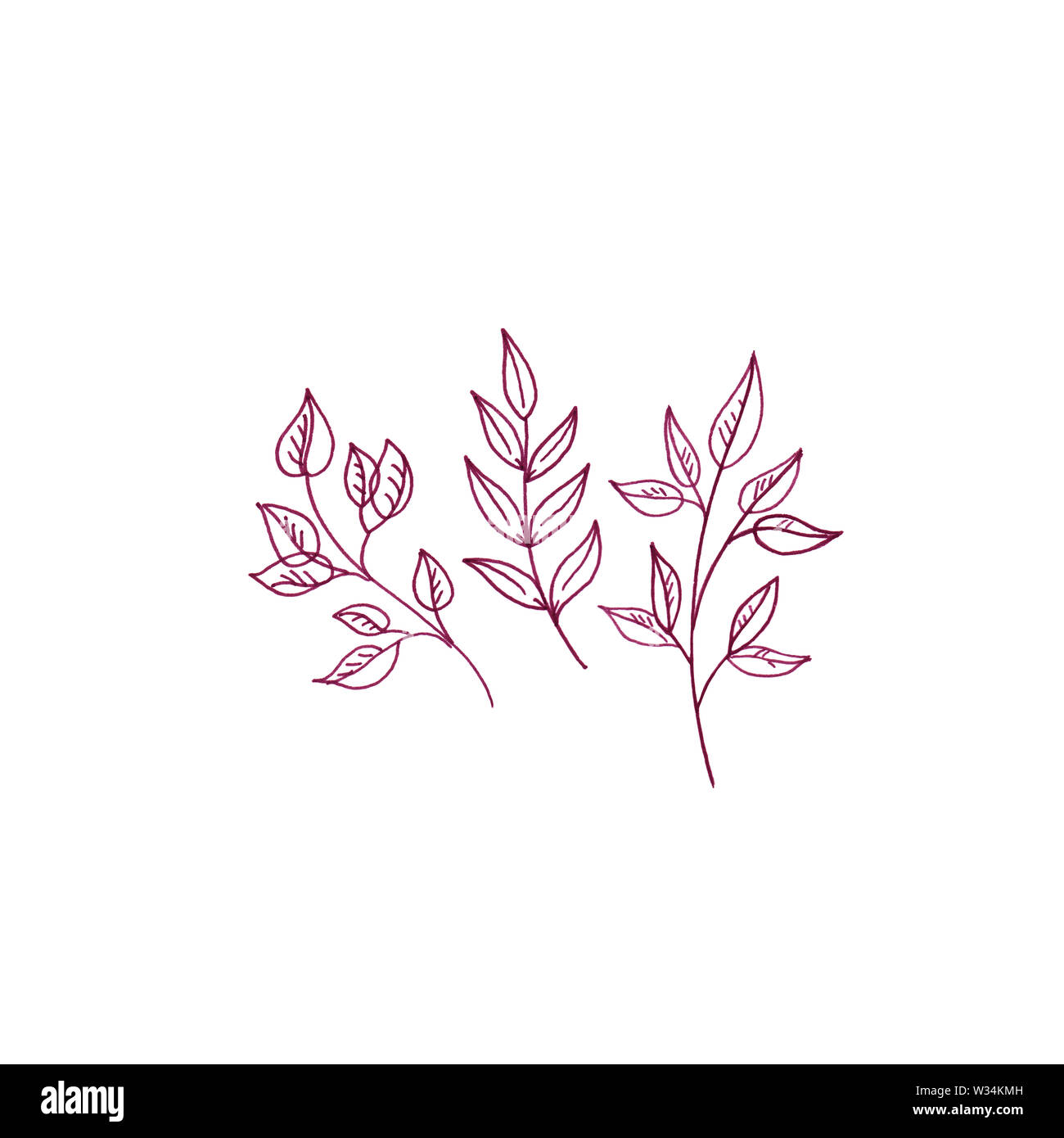 Alberi rossi carino illustrazione botanica, floreale illustrazione minimale del bouquet di autunno tre rami di alberi in stile rustico. Foto Stock