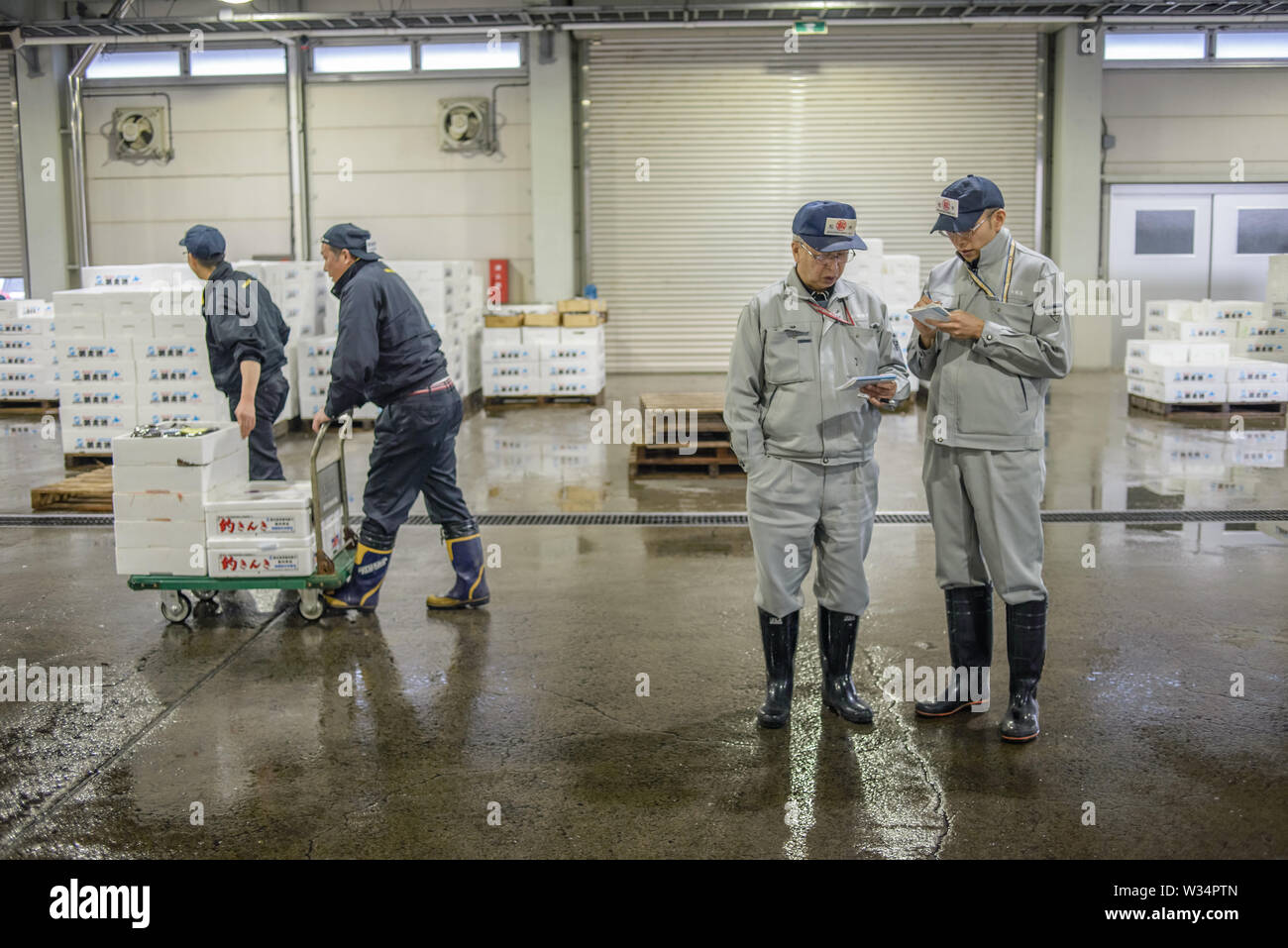 La mattina di sbarco del pesce e asta al Giappone cooperativa di pesca nel porto di Abashiri, Isola Hokkaido, Giappone Foto Stock