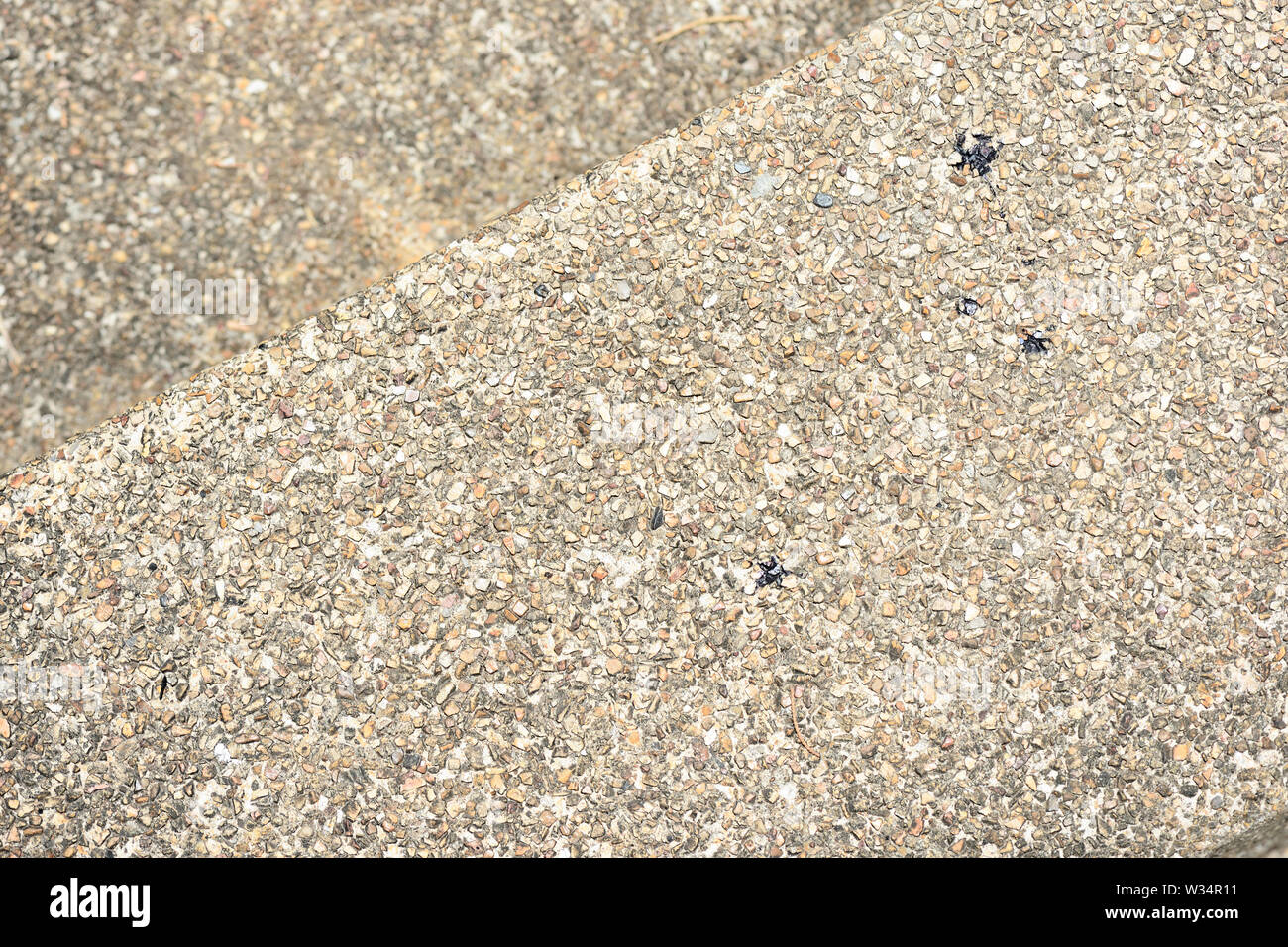 Pebble pavimento in pietra texture vicino. Sfondo astratto Foto Stock