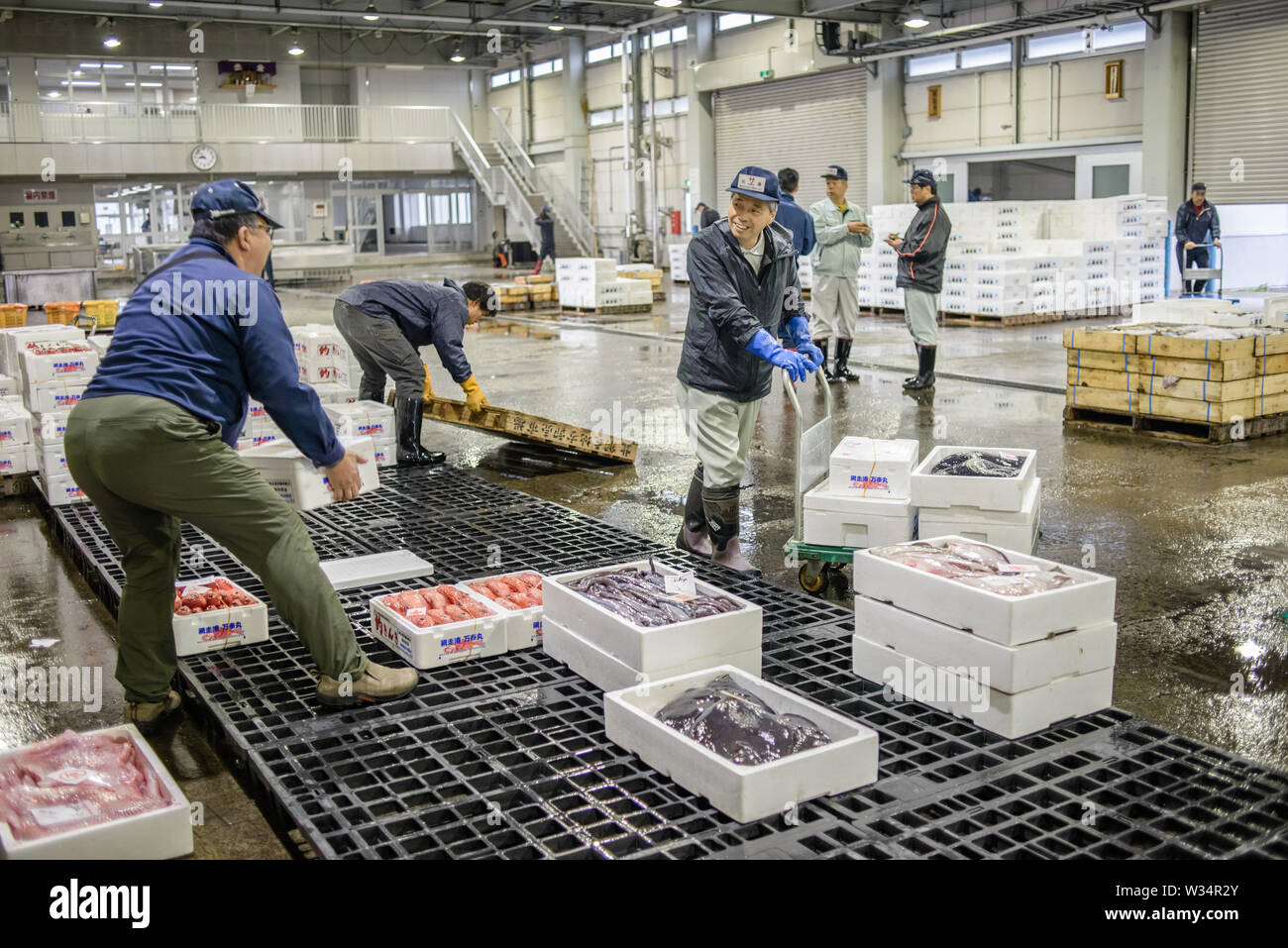 La mattina di sbarco del pesce e asta al Giappone cooperativa di pesca nel porto di Abashiri, Isola Hokkaido, Giappone Foto Stock