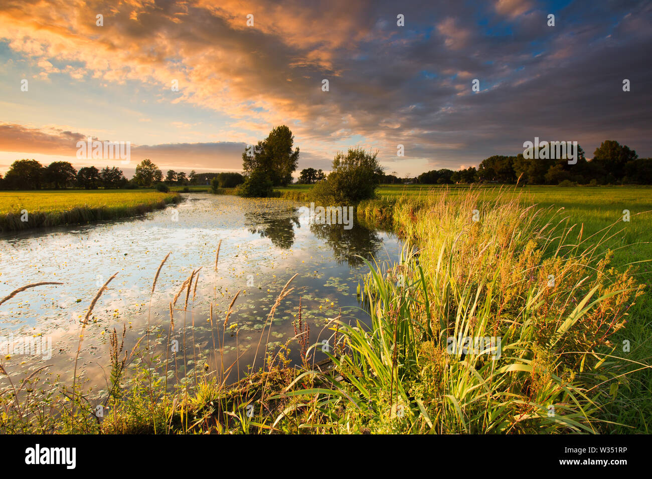 Un serpeggiante fiume in estate con erba verde e calda luce della sera con la luce diretta del sole - Reest - Reestdal, Meppel, Paesi Bassi Foto Stock